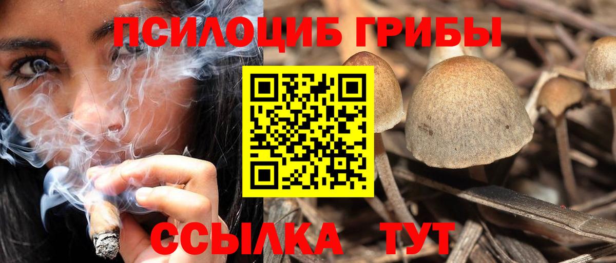 Псилоцибиновые грибы ЛСД Йошкар-Ола