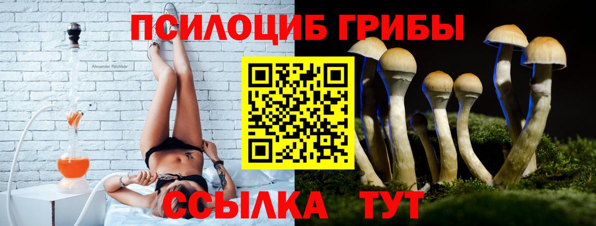 Псилоцибиновые грибы Cubensis  Псилоцибиновые грибы Cubensis  Вход с VPN  Йошкар-Ола 